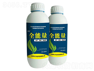 1000MLȫ����-ͬ�R