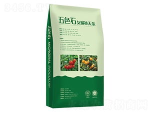 女媧補天系-五色石