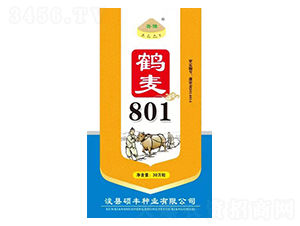 �Q��801-С���N��-�T�S