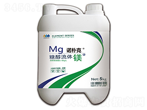 �Ǵ����w�V-�Z���-�WȻ�r(n��ng)�I(y��)