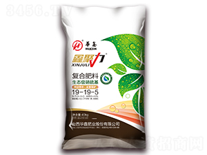 ��(f��)�Ϸ���19-19-5-�ξ���-�A�ηʘI(y��)