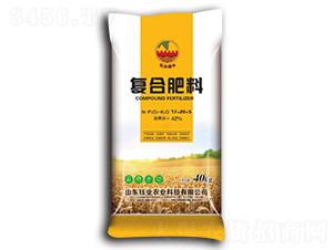 �ͺϷ���17-20-5-╘I(y��)�r(n��ng)�I(y��)