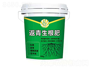 ����������-��ƽ��̼