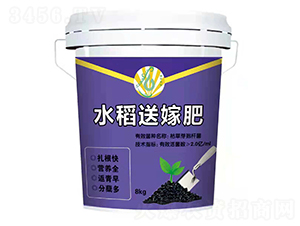 ˮ���ͼ޷�-��ƽ��̼