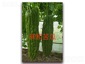 ��Ϳ��-��ϷN��-ӳɽ��