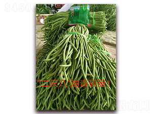 �ɳ߰�-�����N��-ӳɽ��