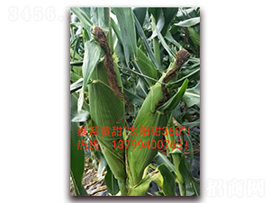 ̫���360-ˮ�����׷N��-ӳɽ��