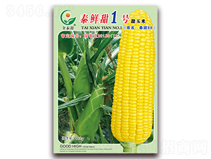 ̩�r��1̖-ˮ�����׷N��-ӳɽ��