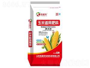 �����m�Ó������26-6-8-�P���A