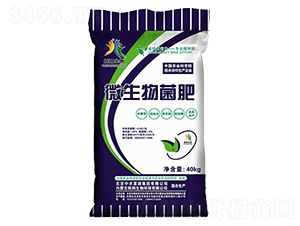 ΢�������-�S�����