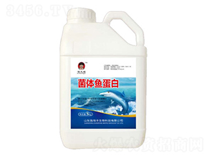 ���w�~����-ʩ���S