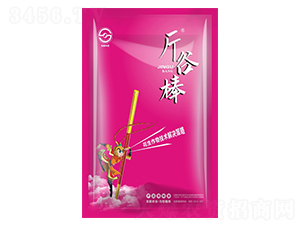 ���b�������＼�g��Q����-��Ȱ�-ʥ���r�I(y��)