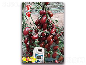 ����-��ɫ���ѷN��-���t�N�I(y��)