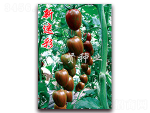 ���Բ�-��ɫ���ѷN��-���t�N�I(y��)