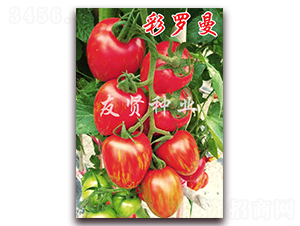 ���_��-���͹����ѷN��-���t�N�I(y��)