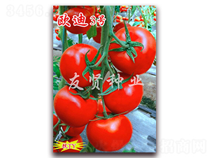 �W��3̖(h��o)-�tɫ���ѷN��-���t�N�I(y��)