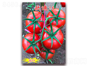 �W��2̖(h��o)-�tɫ���ѷN��-���t�N�I(y��)