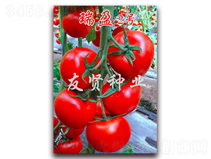 ��ӯ2̖(h��o)-�tɫ���ѷN��-���t�N�I(y��)