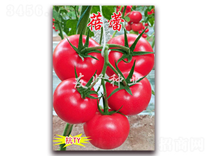 ����-��ɫ���ѷN��-���t�N�I(y��)