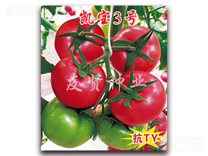 �P��3̖(h��o)-��ɫ���ѷN��-���t�N�I(y��)