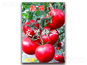 �P��1̖(h��o)-��ɫ���ѷN��-���t�N�I(y��)