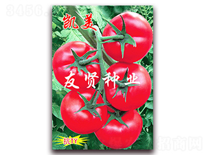 �P��-��ɫ���ѷN��-���t�N�I(y��)