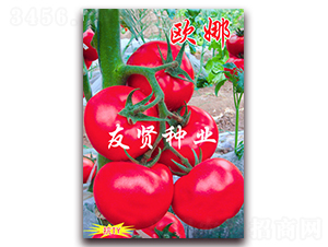 �W��-��ɫ���ѷN��-���t�N�I(y��)