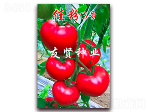 �ѷ�3̖(h��o)-��ɫ���ѷN��-���t�N�I(y��)