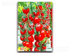 �tʥ2̖(h��o)-��TY��������С���ѷN��-���t�N�I(y��)