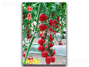 ����-��TY��������С���ѷN��-���t�N�I(y��)