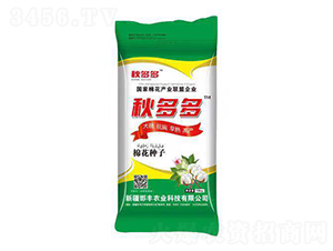 �޻��N��-����-���S�r�I(y��)