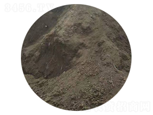 ���S-�f�Z���r�I(y��)