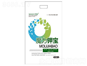 ħ��⛌�-�f��