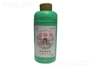 �����ЙC(j��)��-������-�ʺ̶��S