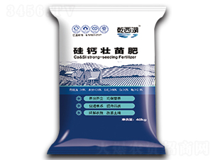 硅鈣壯苗肥-圣星生物