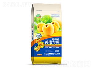 �S�Ҍ��������ЙC(j��)��-ϣ�ǷʘI(y��)