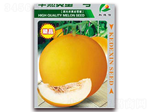 �����S��һ̖(h��o)-��ϷN��-�Ƶ���