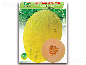 �Ƶ°��R-��ϷN��-�Ƶ���