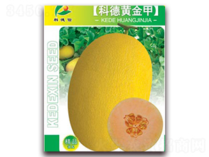 �Ƶ��S���-��ϷN��-�Ƶ���