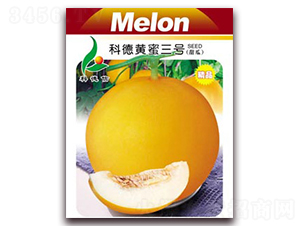 �Ƶ��S����̖(h��o)-��ϷN��-�Ƶ���