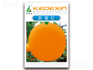 �Ƶ������ۼt-��ϷN��