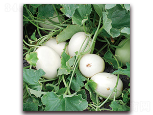 ����ѩ��-��ϷN��-�Ƶ���