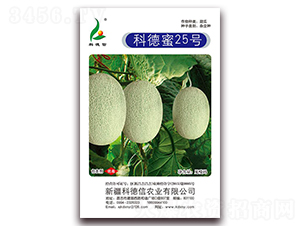 �Ƶ���25̖(h��o)-��ϷN��-�Ƶ���