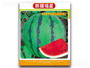 �½�����-���ϷN��-�Ƶ���