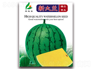 �´��m-���ϷN��-�Ƶ���