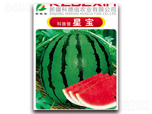 �Ƶ����ǌ�-���ϷN��-�Ƶ���