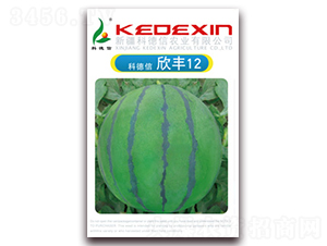 ���S12̖-���ϷN��-�Ƶ���