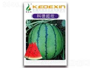 �Ƶ³���-���ϷN��-�Ƶ���