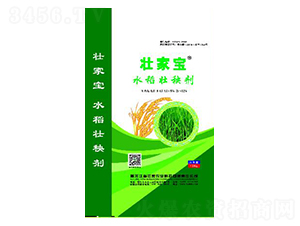 ˮ�����턩-�ѼҌ�-�ɟj�ʘI(y��)