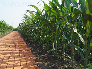 ���r(n��ng)718-ƽ���N�I(y��)